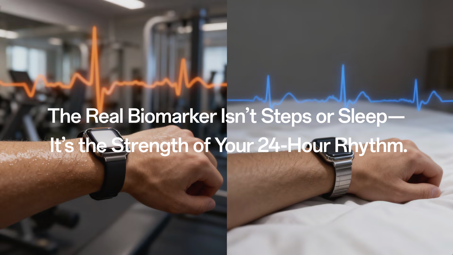 Rhythm Health: How Heart Rate and Activity Amplitude Predict Disease