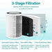 Aolon Air Purifier With filter AP02 Negative Ion Mini Air Freshener Portable Clean Air Deak Office - Aolon